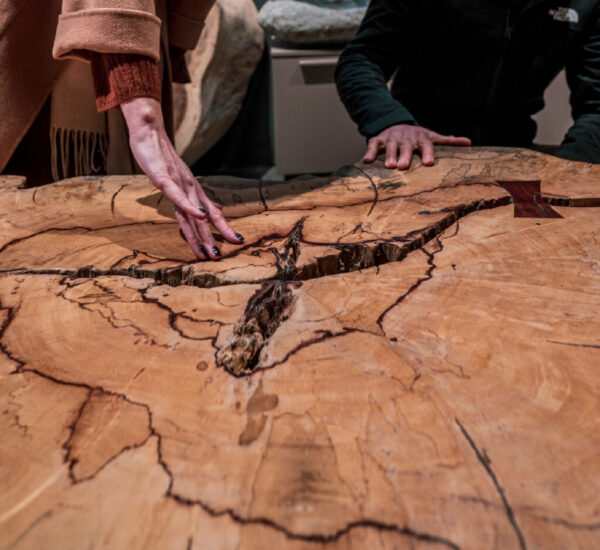 487826679_1094568326017751_4136768354488839992_n