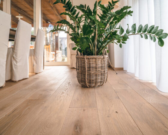 TEMPI ANTICHI MORAVIA_3